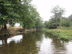 stream with riparian area