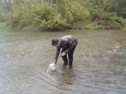 volunteer collecting water sample